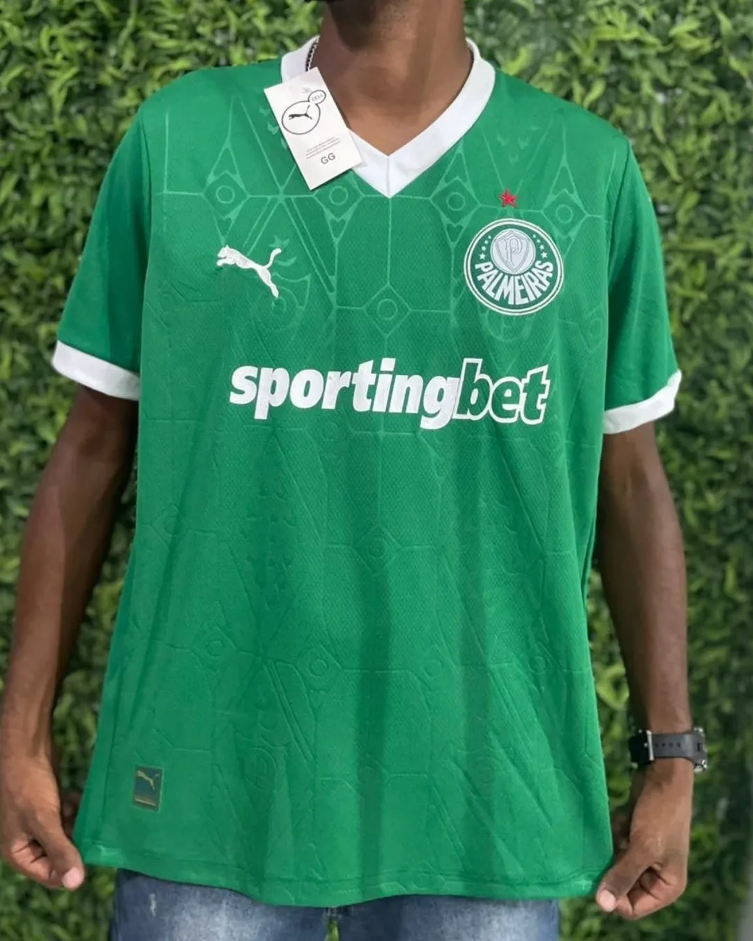 Camisa do Palmeiras verde